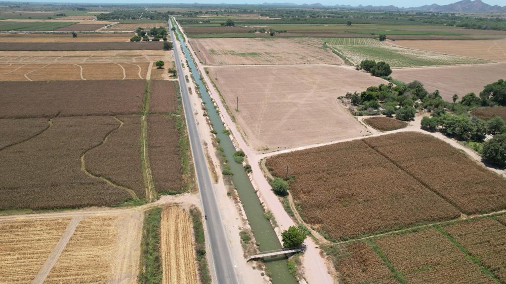 Campos de Sinaloa