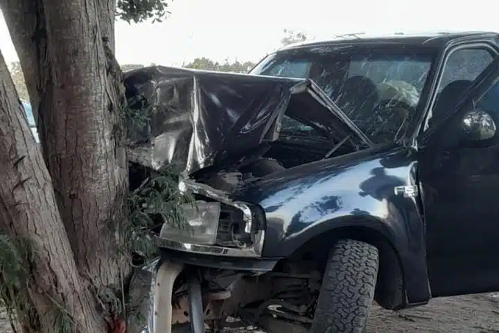 Camioneta choca con un árbol en Guasave