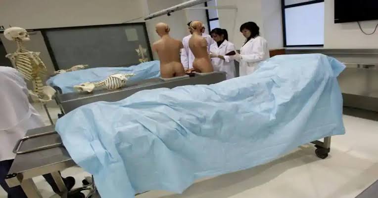 Detienen a banda por robo de cuerpos de hospitales y asilos en España