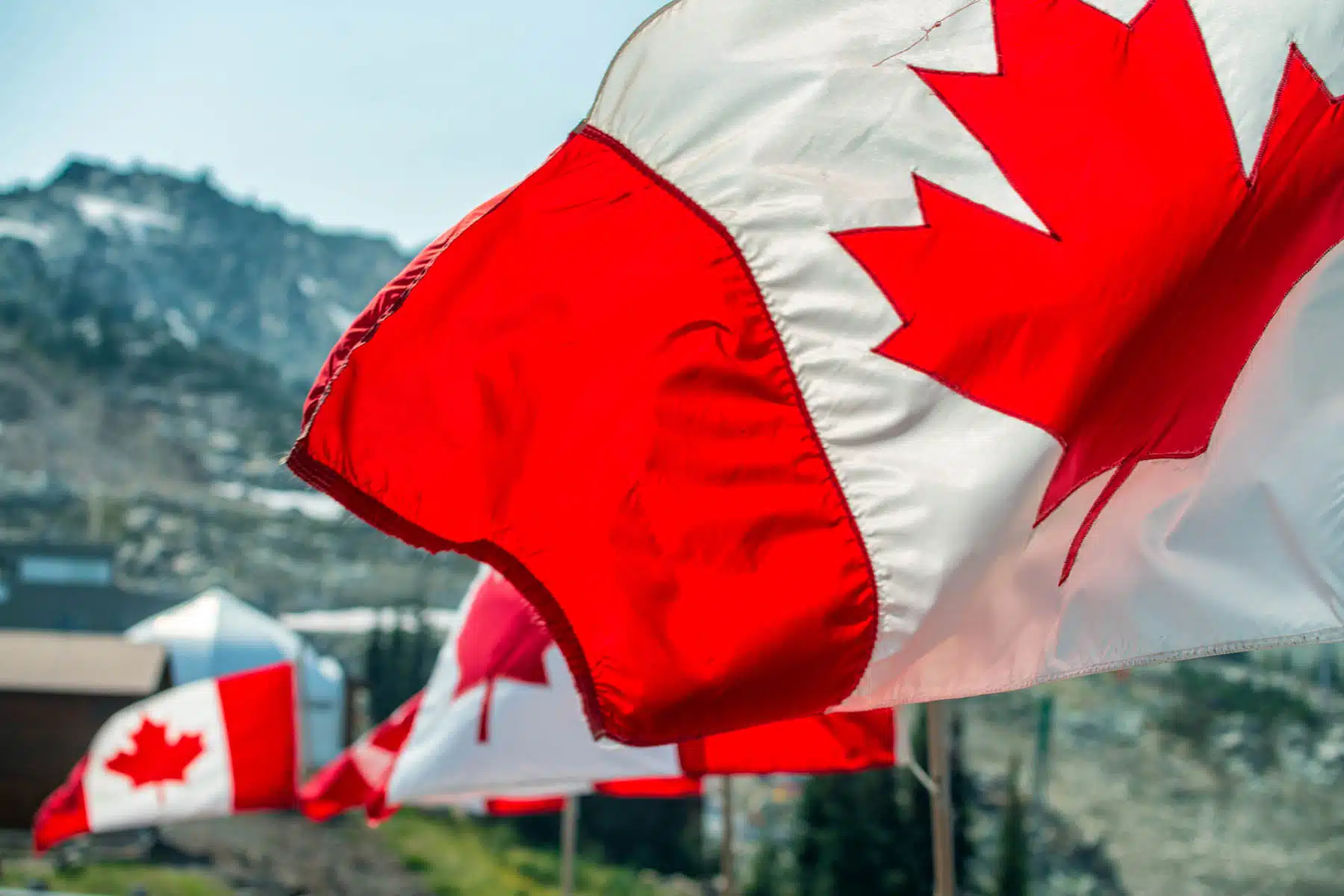 Embajada de Canadá en México ofrece vacantes laborales