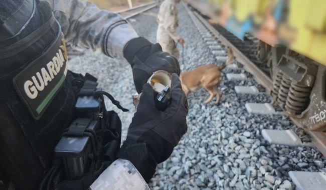 Guardia nacional descubre cargamento de droga