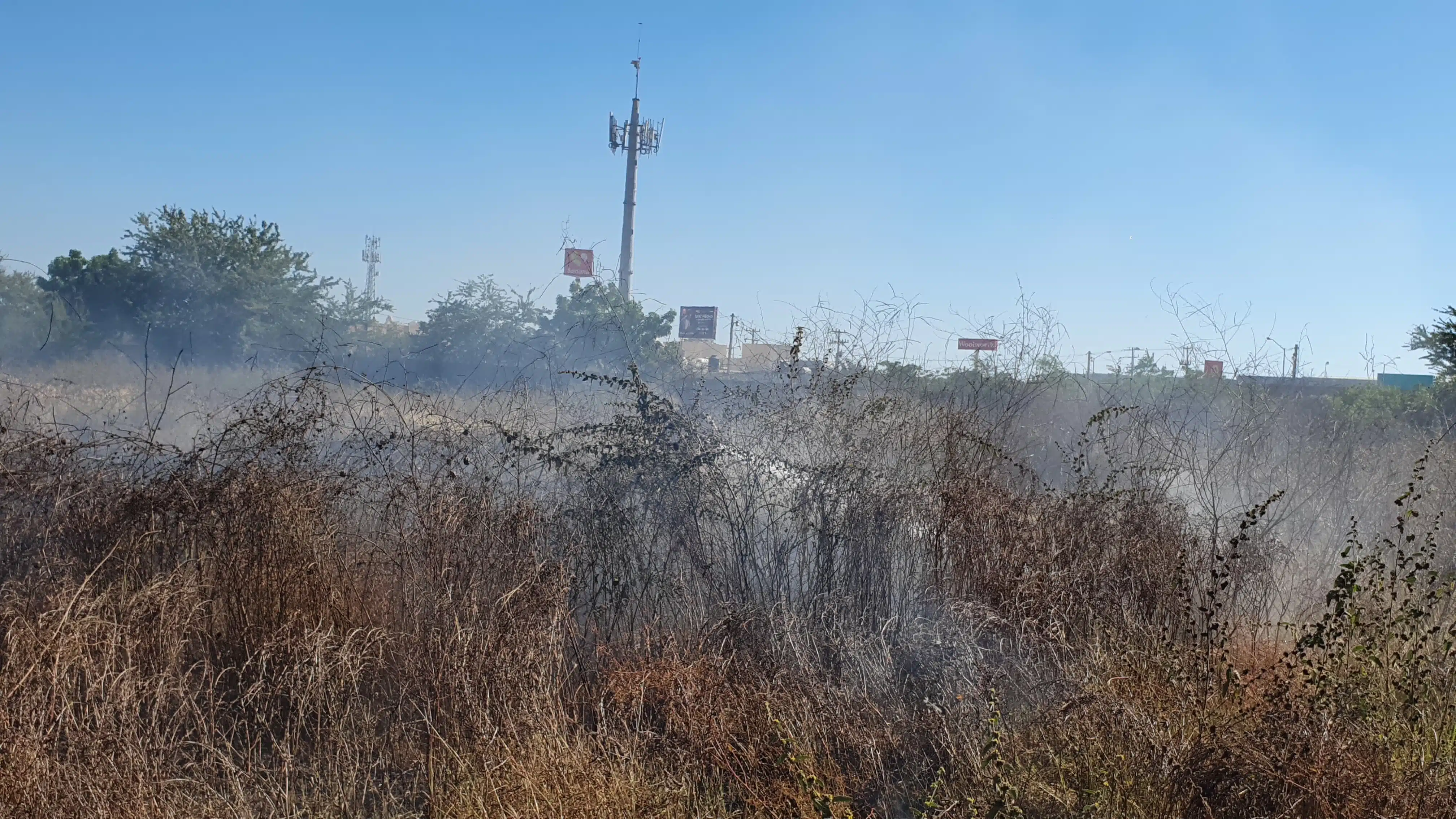 Incendio de lote baldío en Mazatlán.