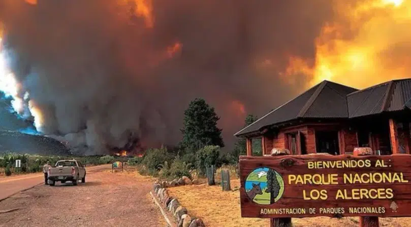 Incendio en argentina consume más de 2 mil hectáreas