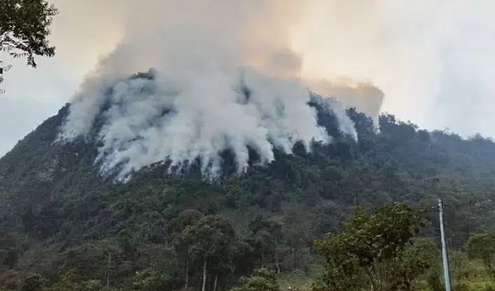 Declaran desastre y calamidad por incendios en Colombia