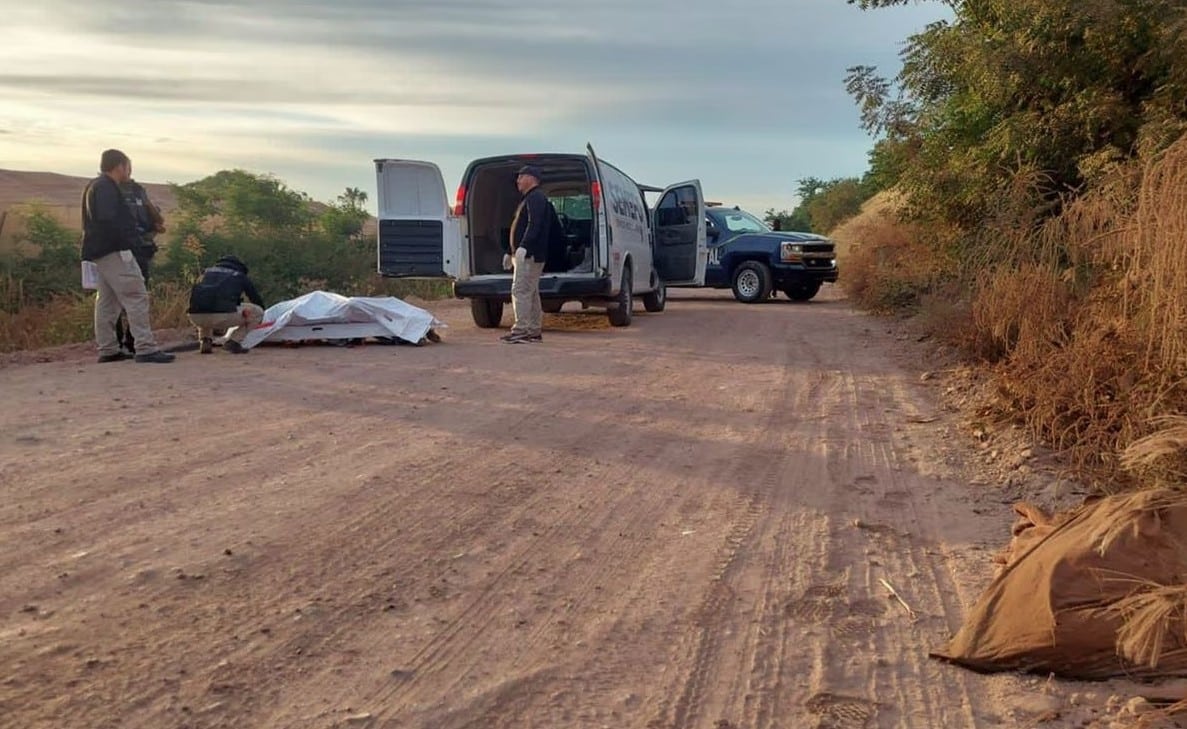 Localizan nueve cuerpos sin vida en Querétaro; autoridades investigan