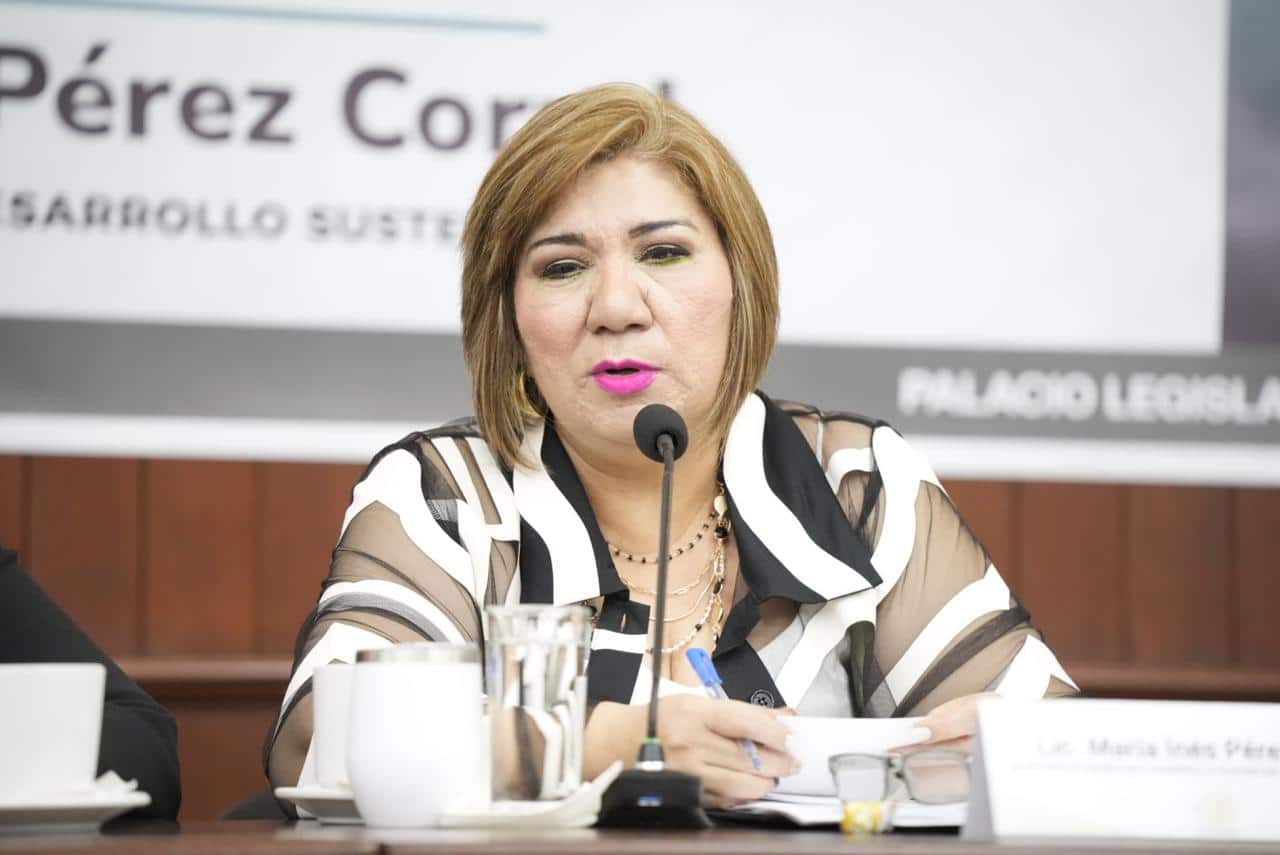 María Inés Pérez Corral, La secretaria de Bienestar y Desarrollo Sustentable del Estado de Sinaloa (Sebides).
