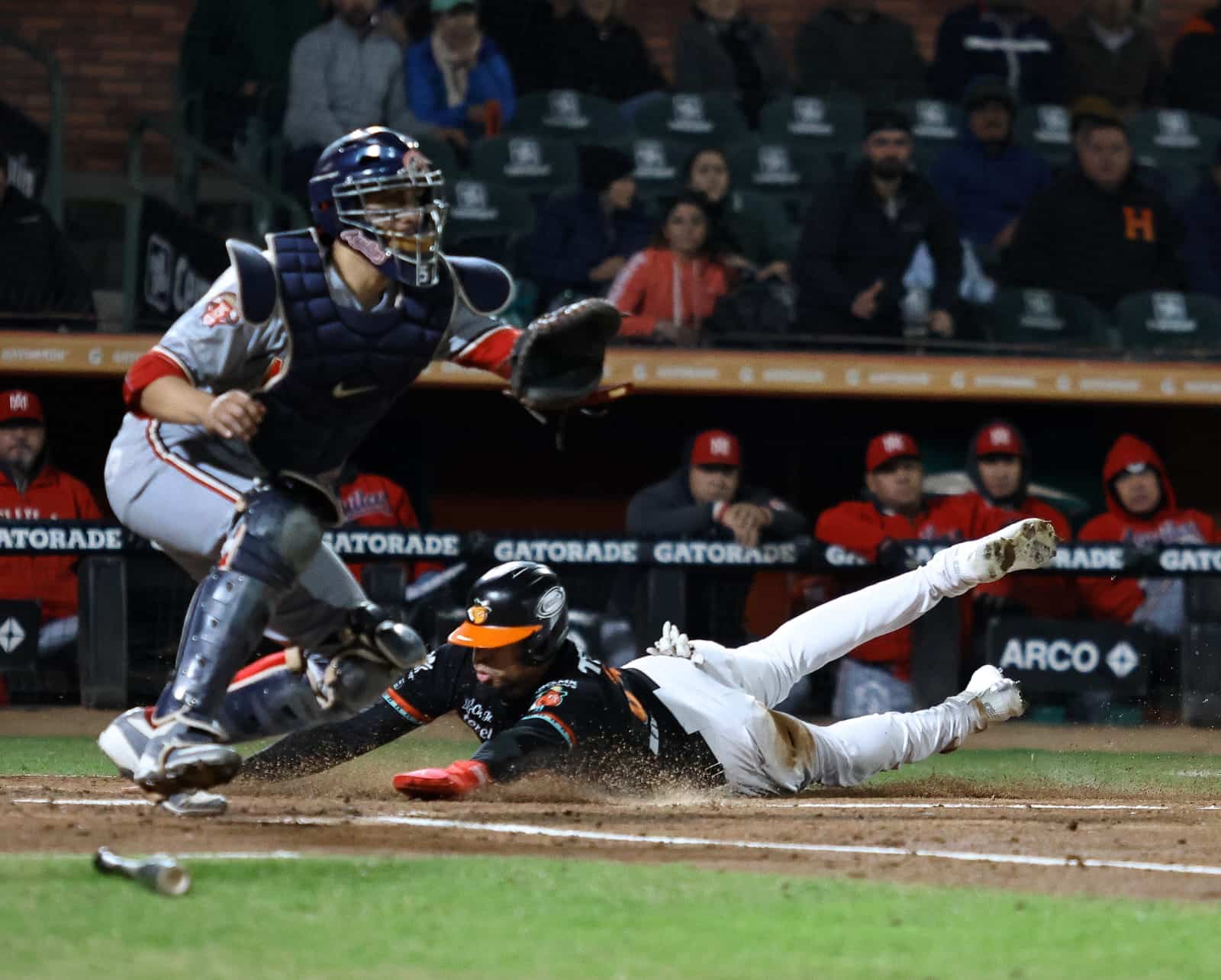 Naranjeros se coloca a medio camino de la Serie Final de la Liga Mexicana del Pacífico.