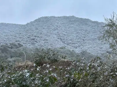 Nieve en Santiago Nuevo León