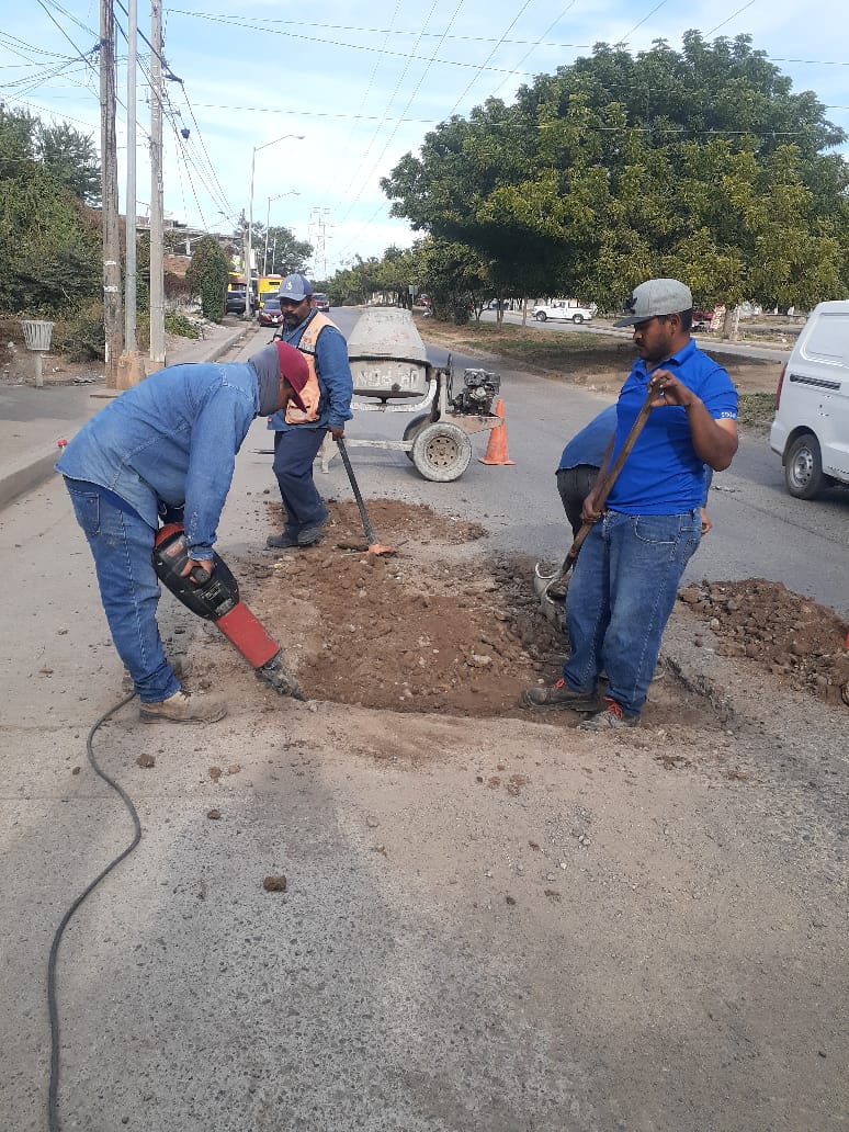 Personal del ayuntamiento de Mazatlán en una obra pública