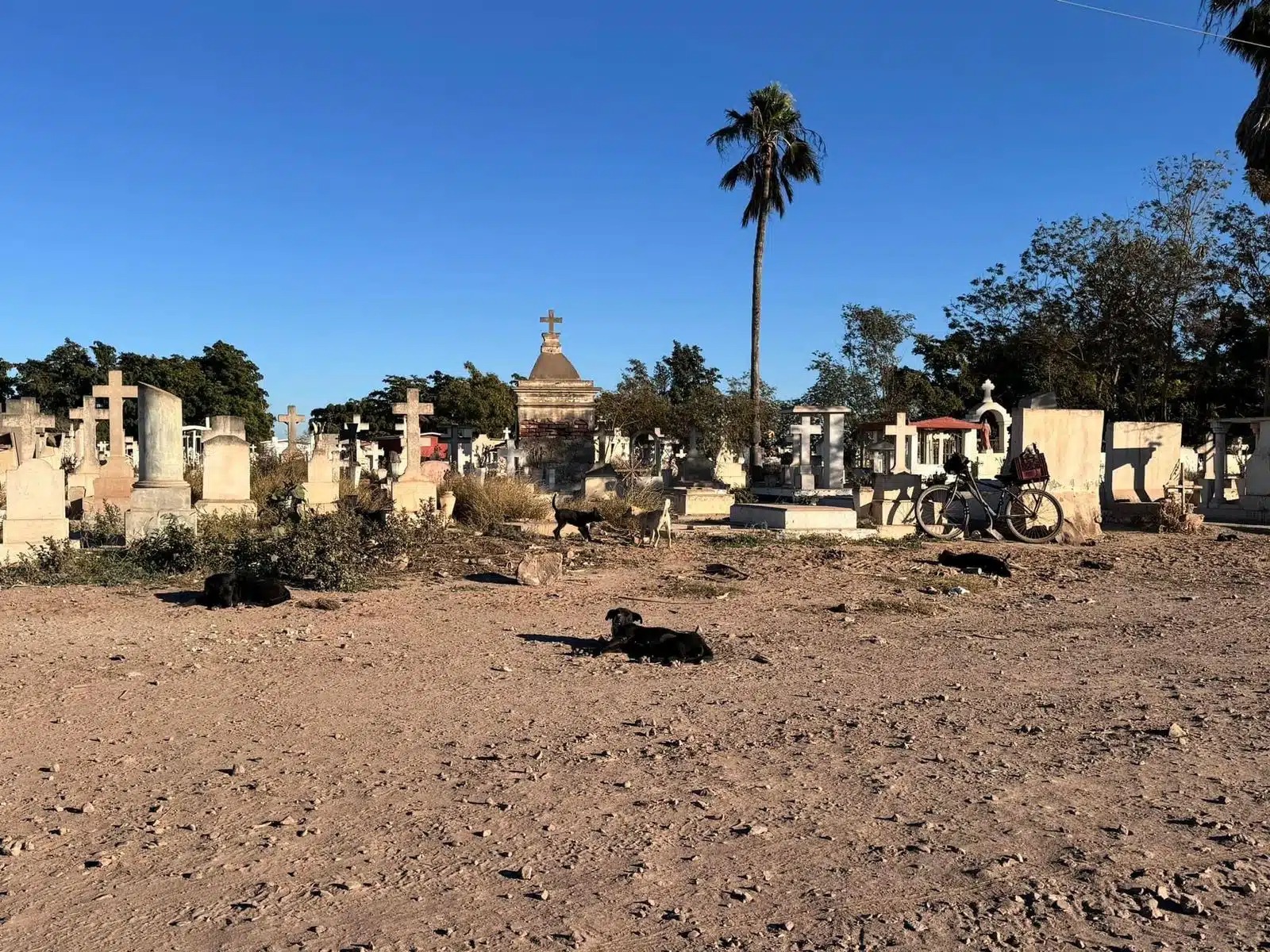 Tumbas en el panteón Villa de Ahome