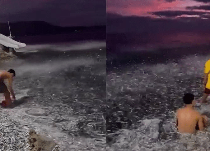 Extraño comportamiento de los peces previo a terremoto en Filipinas