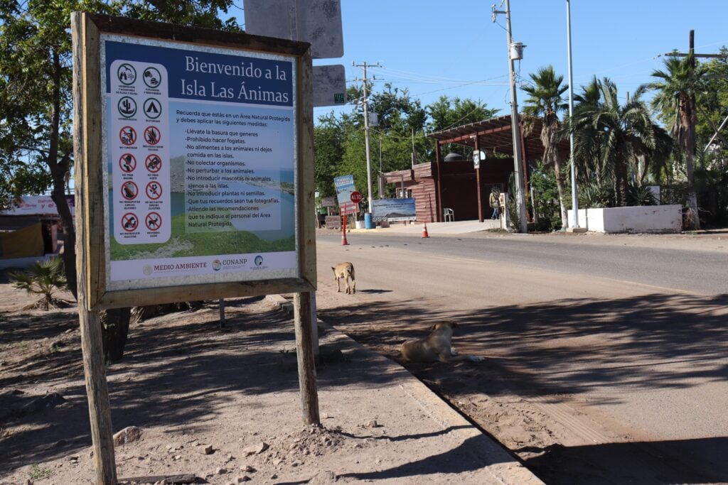 Playa el Maviri