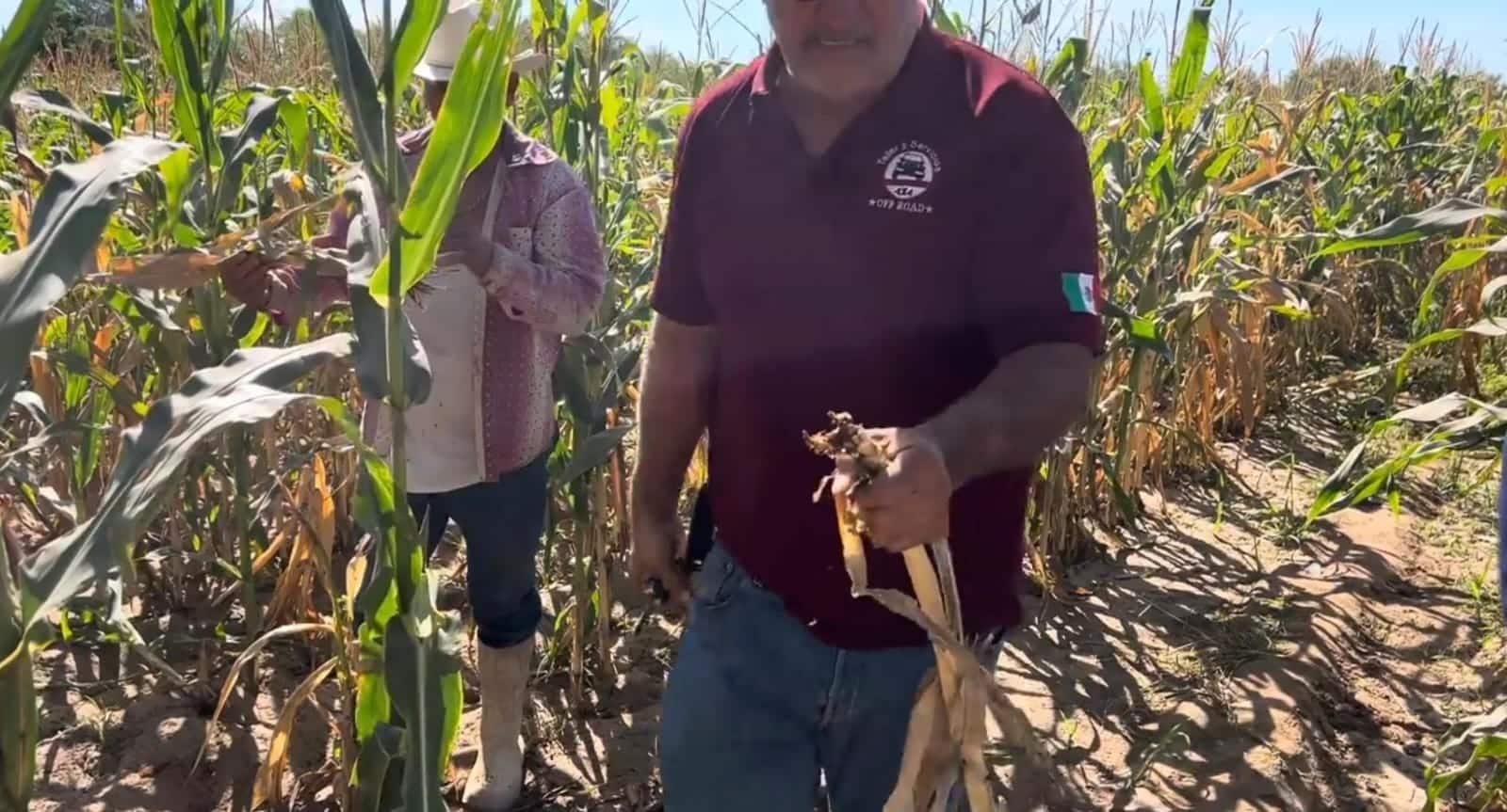 El agricultor evidenció a través de las redes sociales la situación de su parcela.