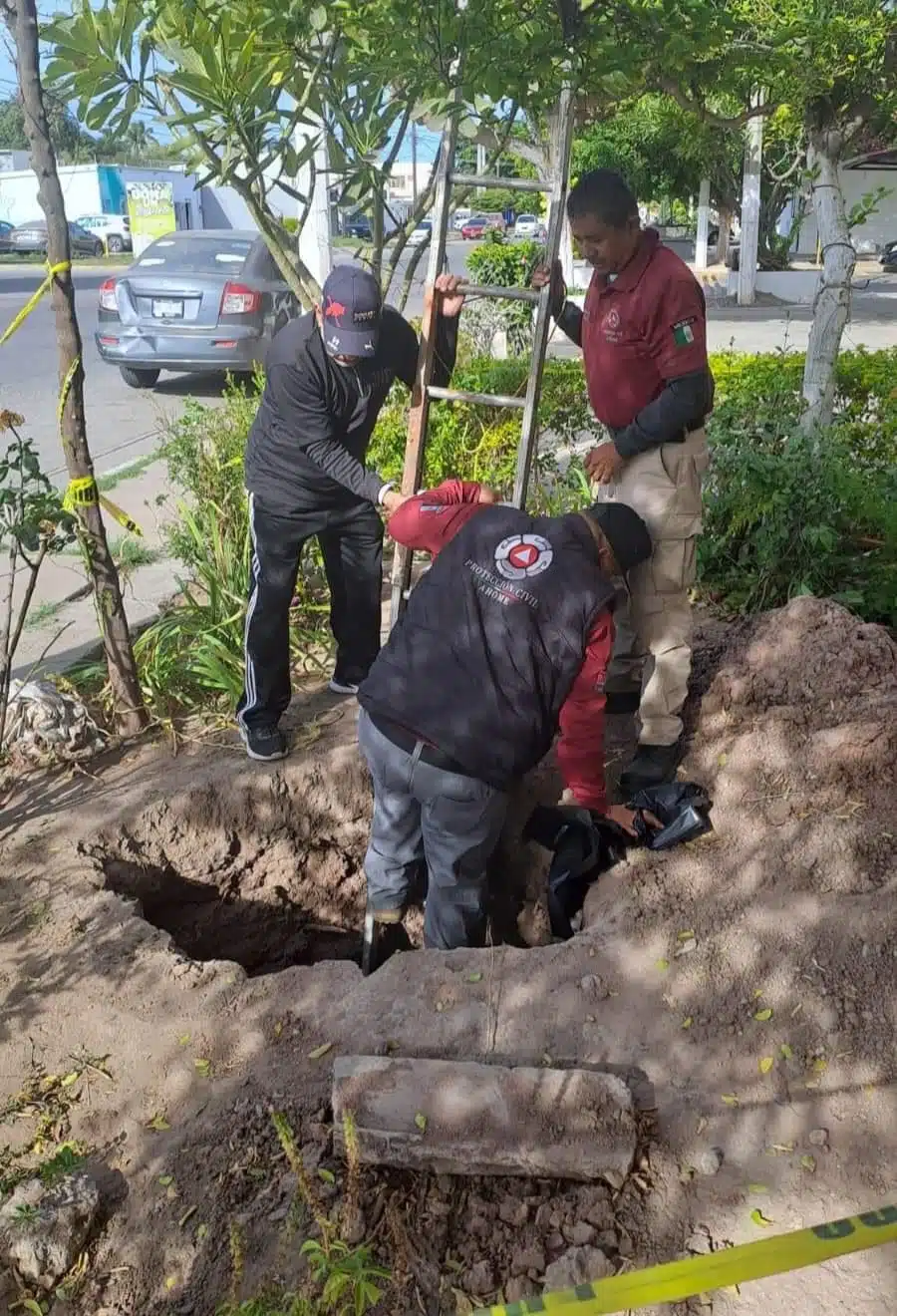 Elementos de Protección Civil de Ahome rescatando a un perrito que cayó a un socavón en Los Mochis