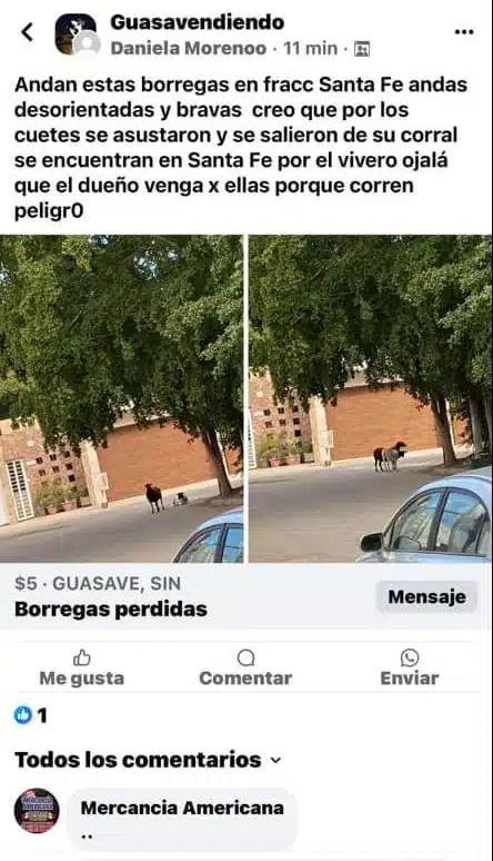 Publicación en facebook