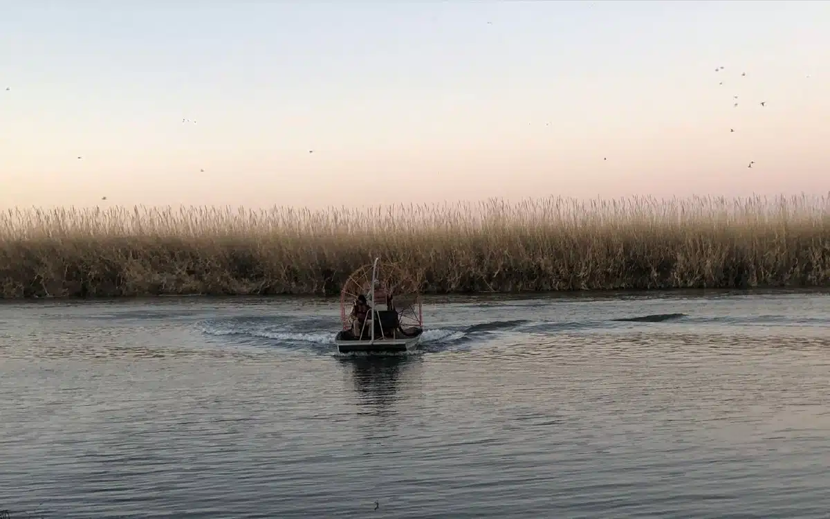 Rescatan a cuatro migrantes en el Río Bravo