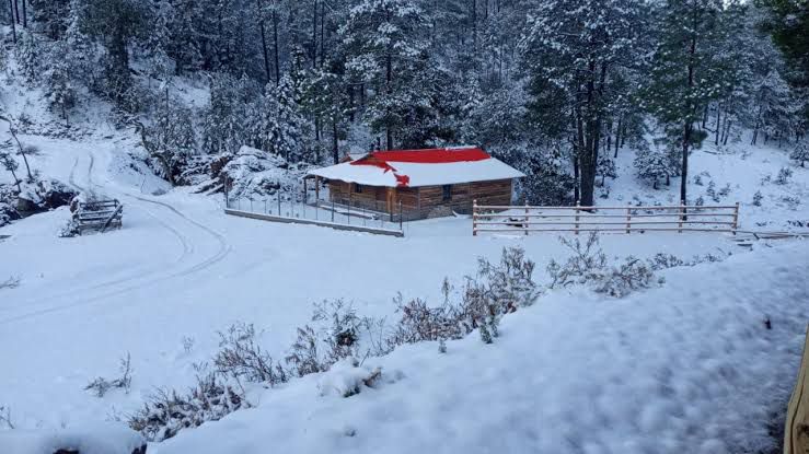 Caída de nieve en Santa Gertrudis