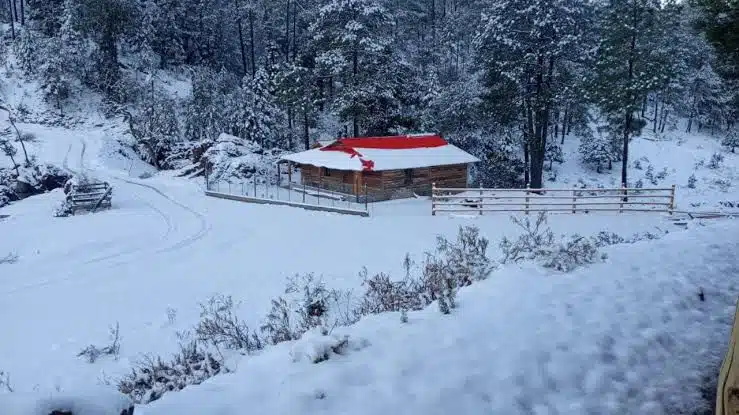 Caída de nieve en Santa Gertrudis