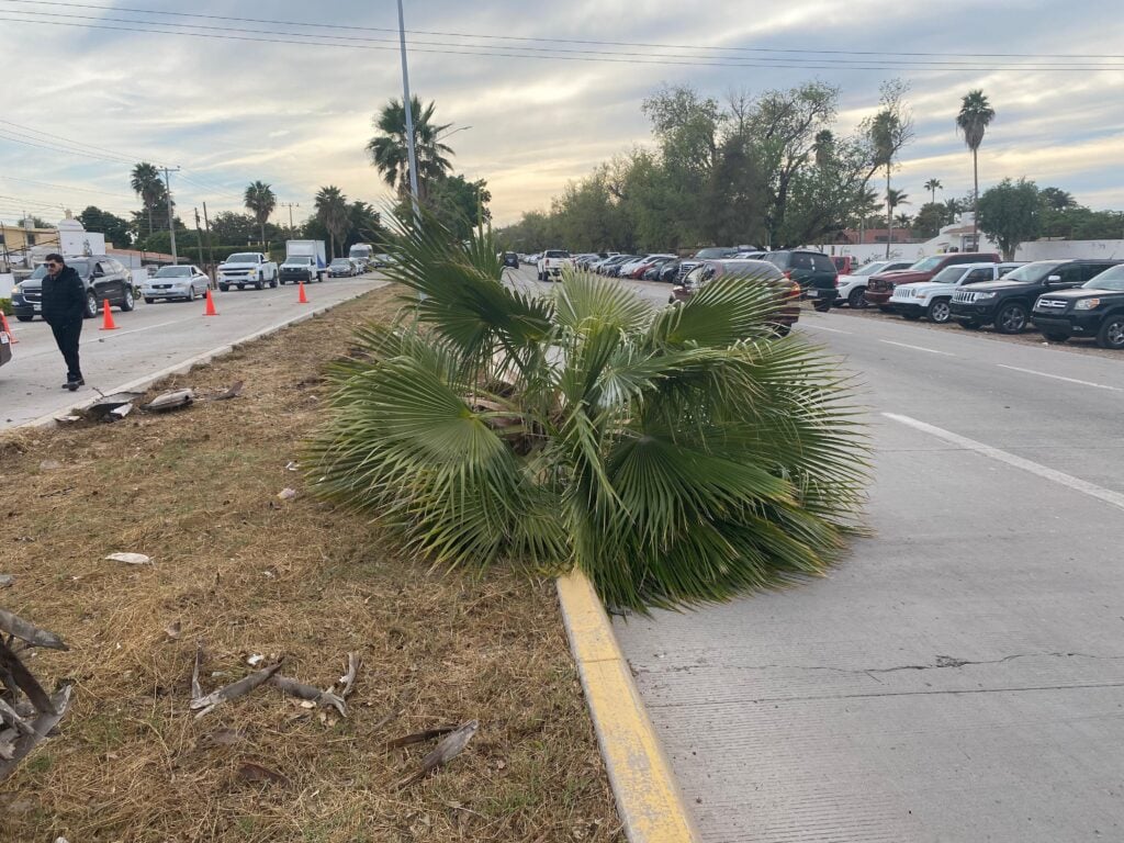 Trafico por accidente en carretera Mochis - Topolobampo.