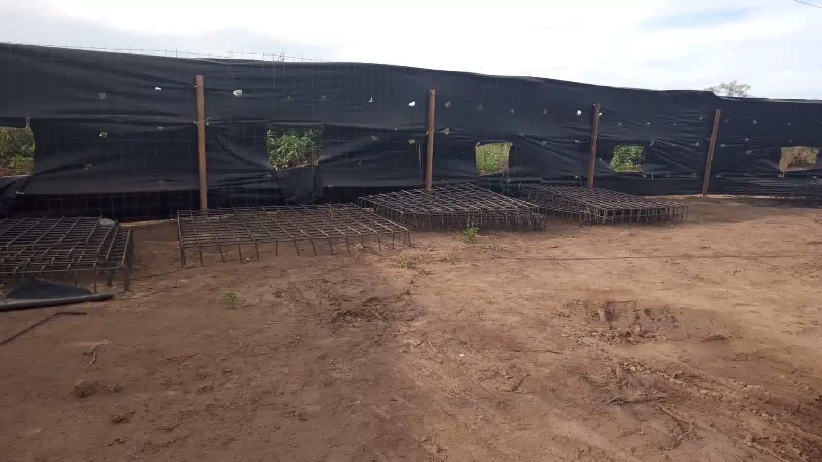 Terreno en el que están haciendo trazos de cimentación en Guasave