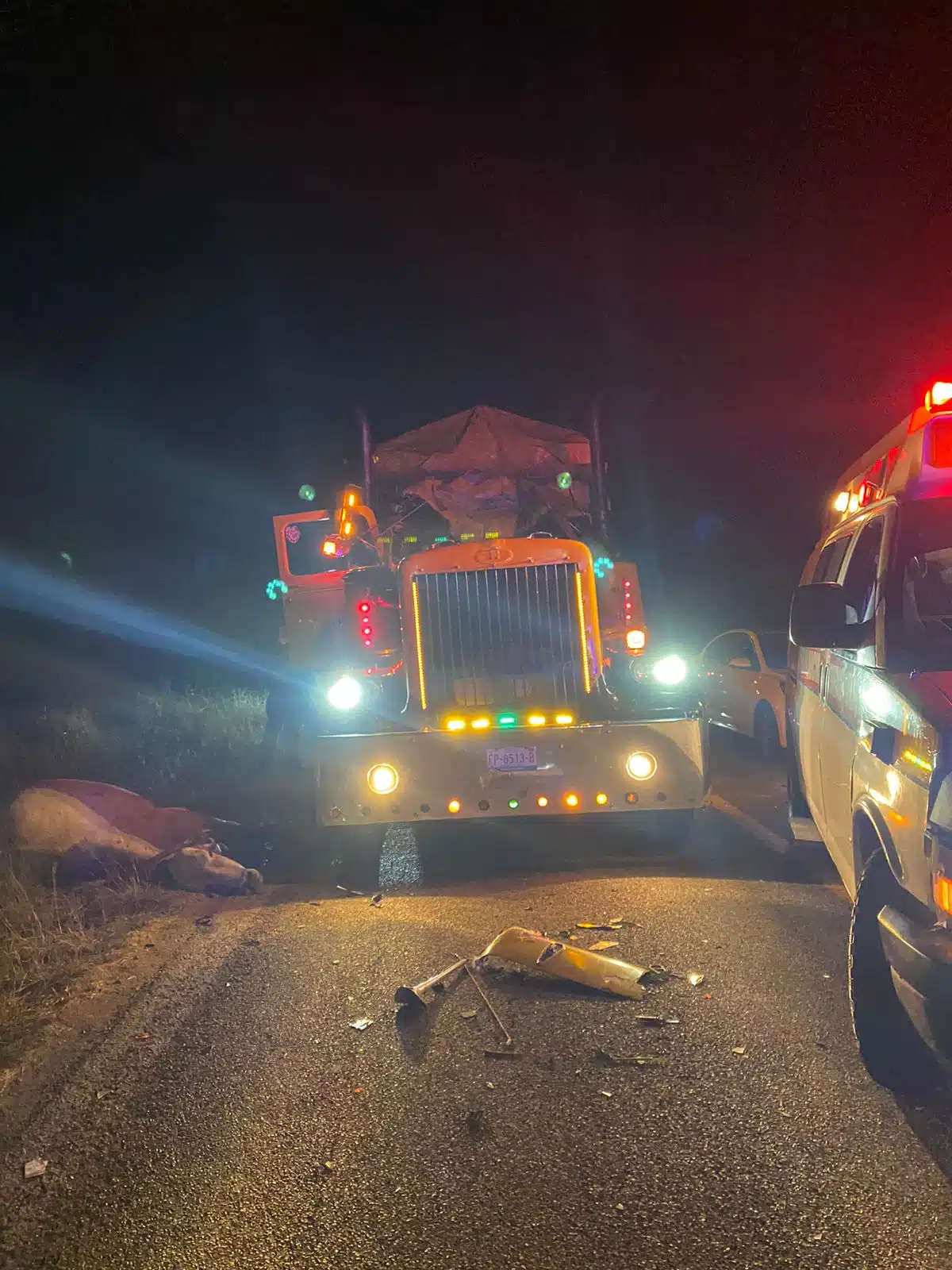 Un camión torton y el conductor de un vehículo se impactaron contra una vaca.