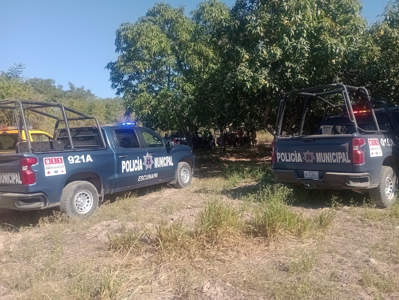 Patrullas de la policía municipal de Escuinapa en el lugar donde asesinaron a Nora Isela