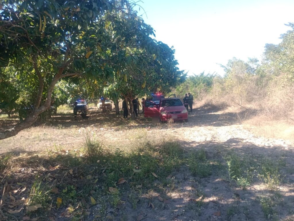 Patrullas de la policía municipal de Escuinapa en un huerto de mango lugar donde asesinaron a Nora Isela