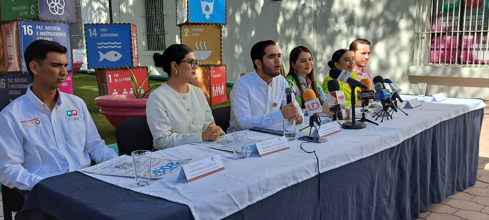 Embajadores de la ONU 