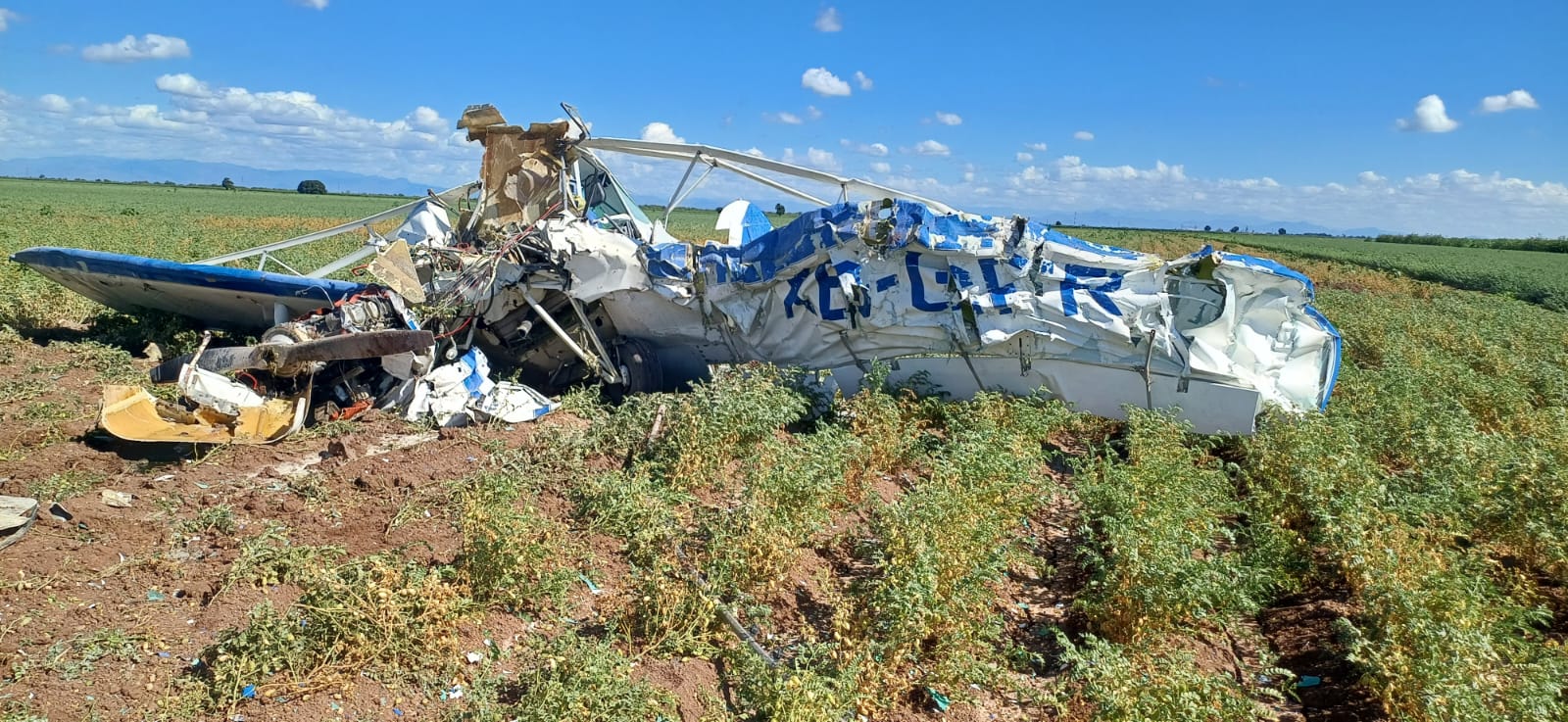 Avioneta desplomada en Guasave