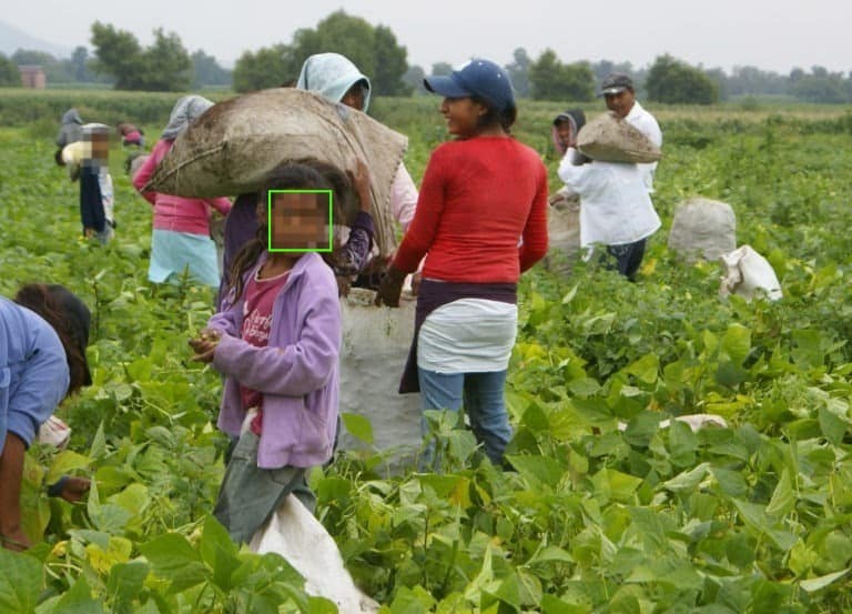 Personas del campo trabajando