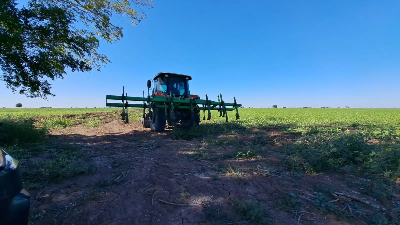 maquina trilladora agrícola