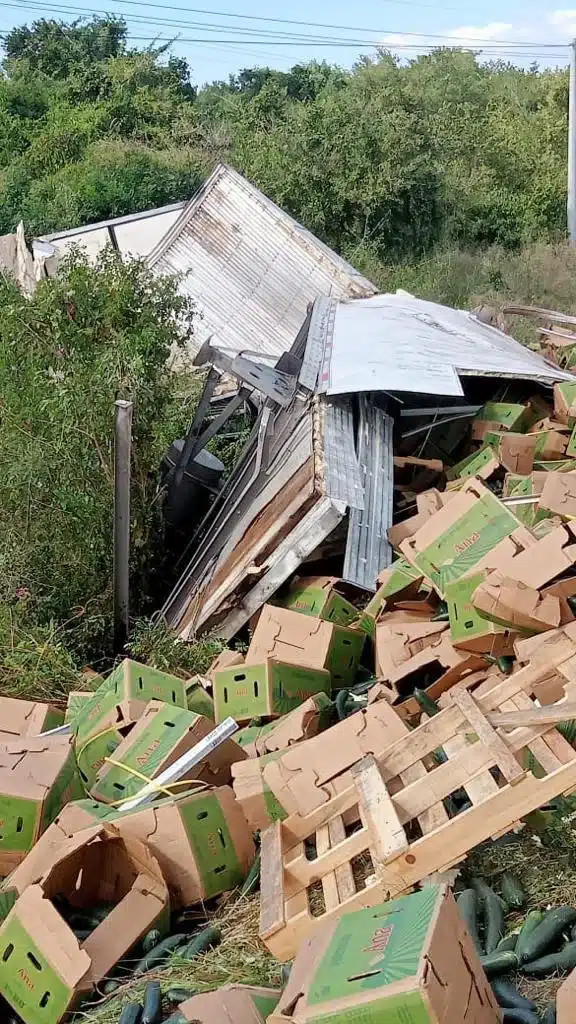 Cajas de pepino tras rapíña