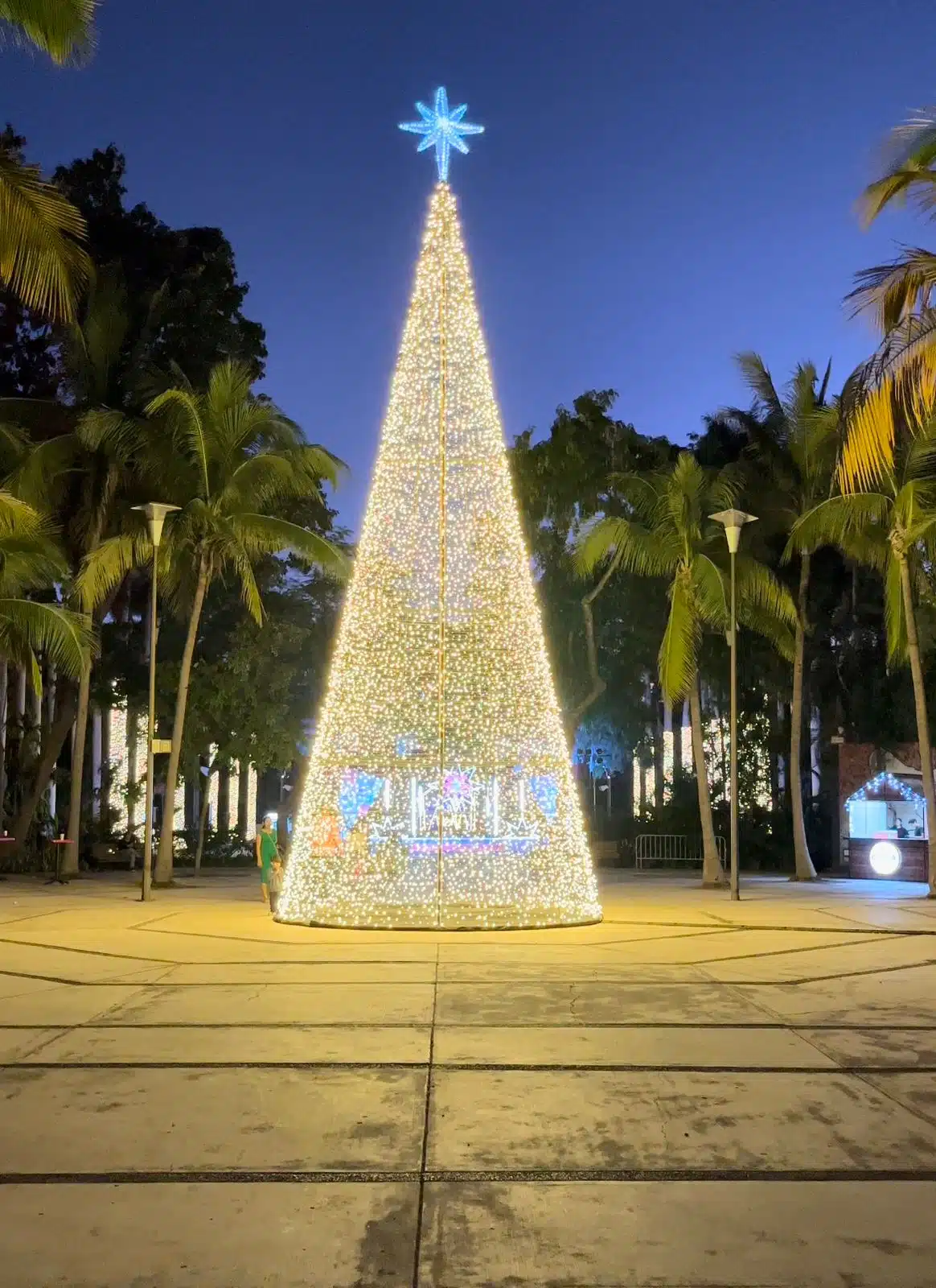 Algunas de las bellas decoraciones en el Jardín Botánico Culiacán