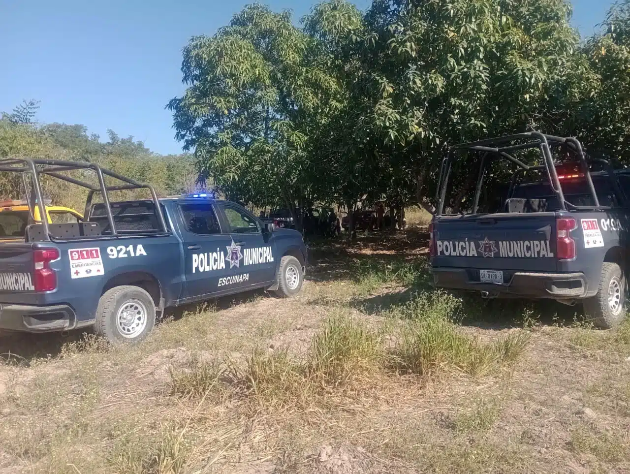 Patrullas de la policía municipal