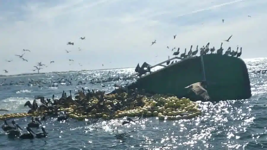 Barco volcado