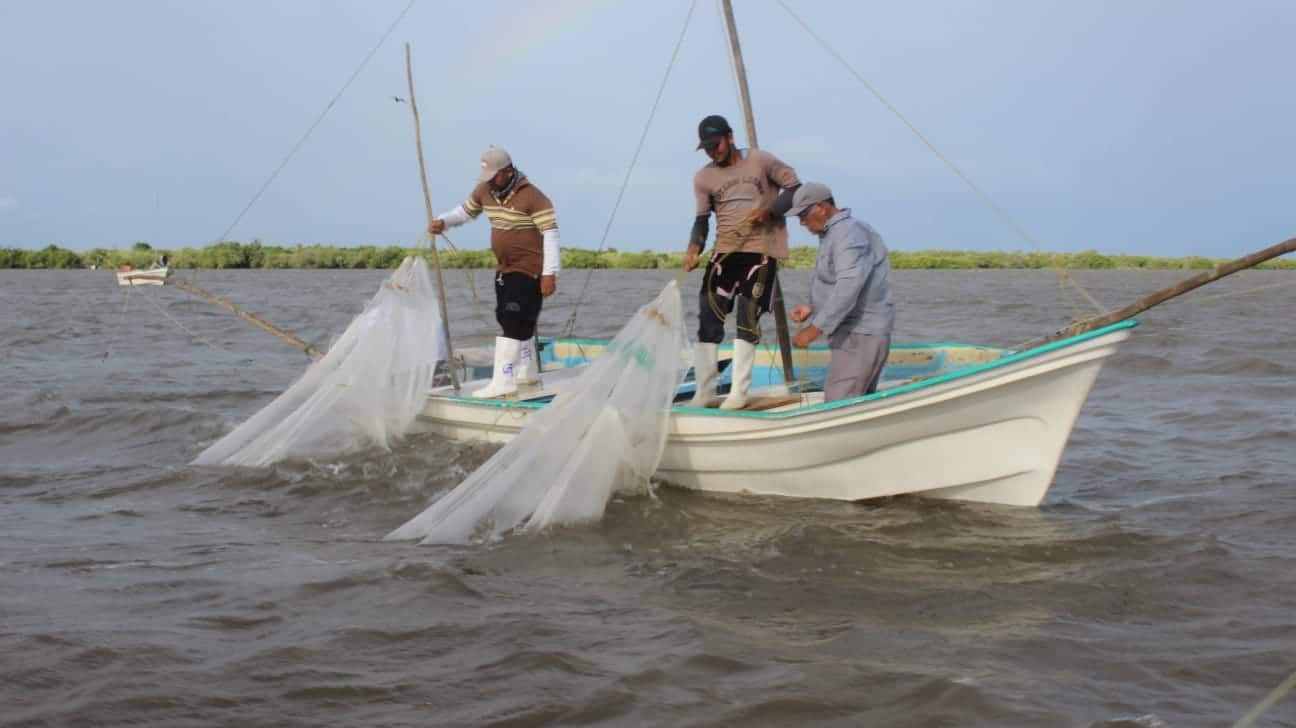 Pescadores de camarón