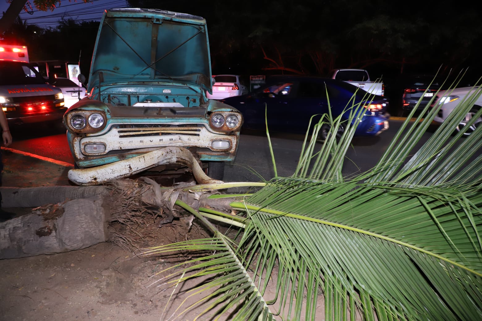 El conductor se subió al camellón central de la avenida Leonismo Internacional y derribó una palmera.