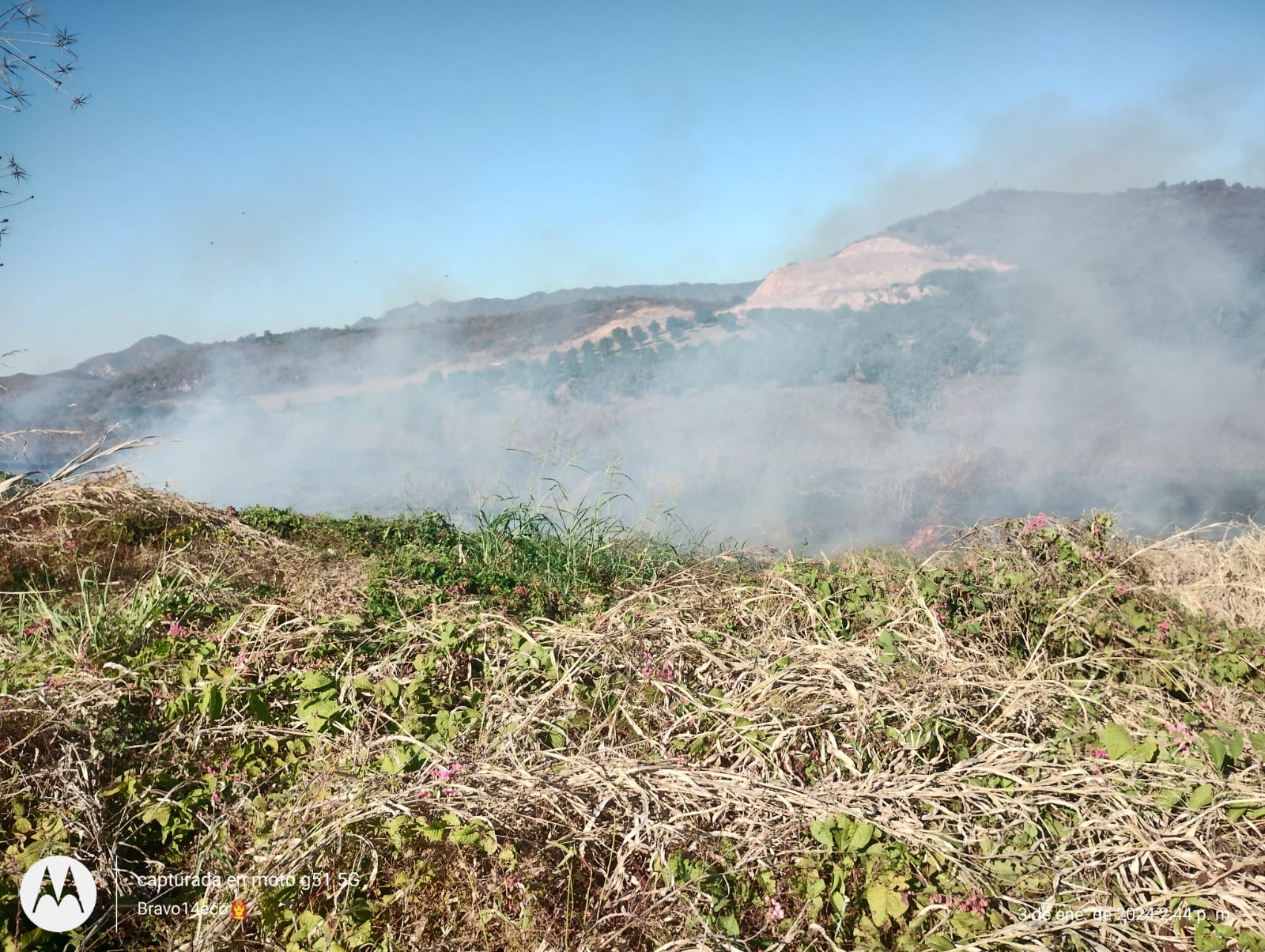 Bomberos Voluntarios de Escuinapa atendiendo uno de los incendios de maleza seca