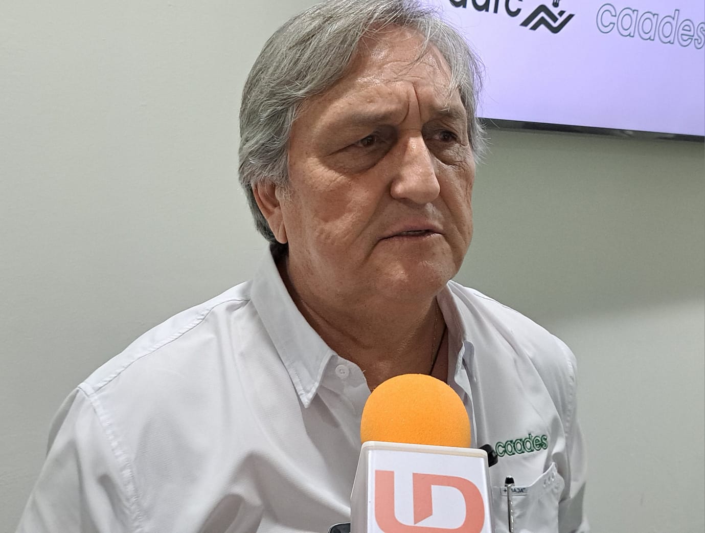 Marte Vega Román