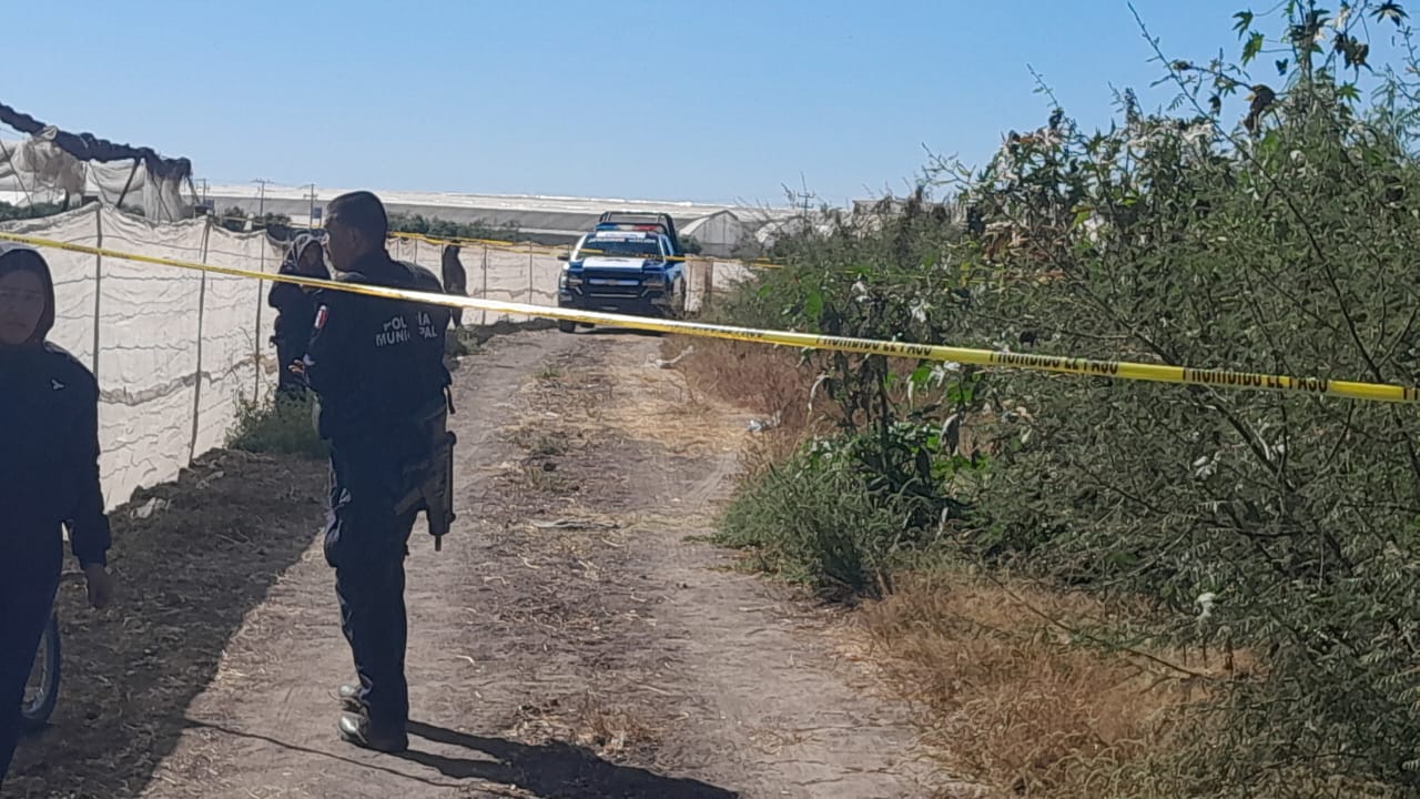 Cinta amarilla delimitando la zona del hallazgo.