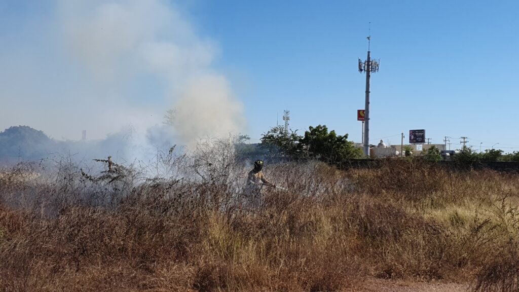 Incendio de lote baldío en Mazatlán.