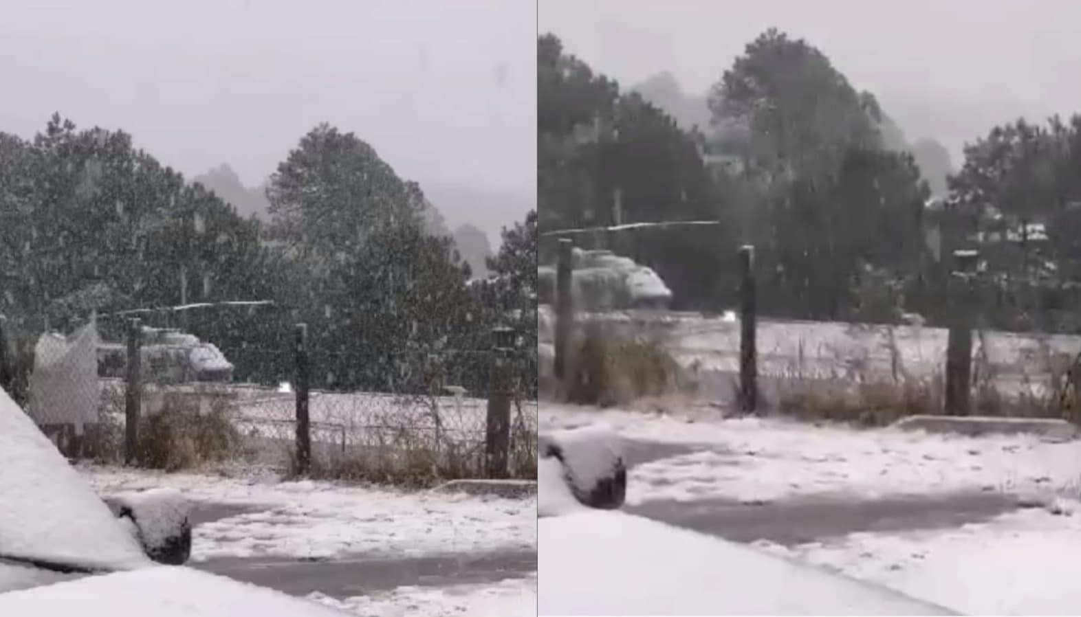Nieva en Santa Gertrudis, Badiraguato