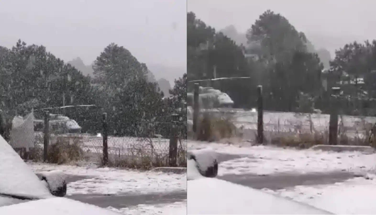 Nieva en Santa Gertrudis, Badiraguato