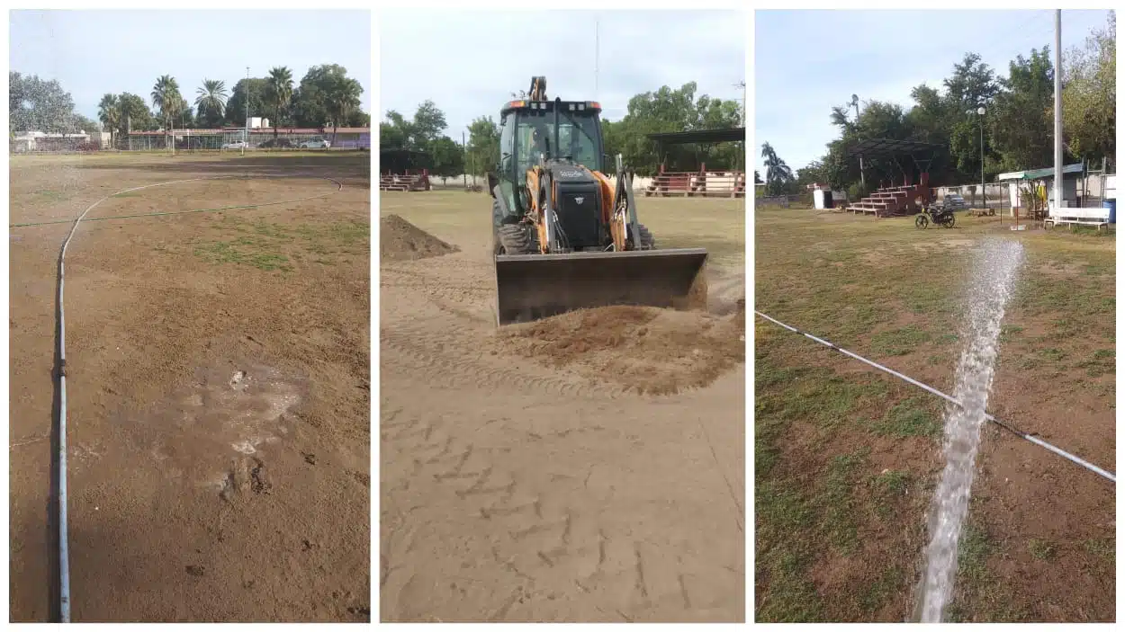 Estadios en rehabilitación