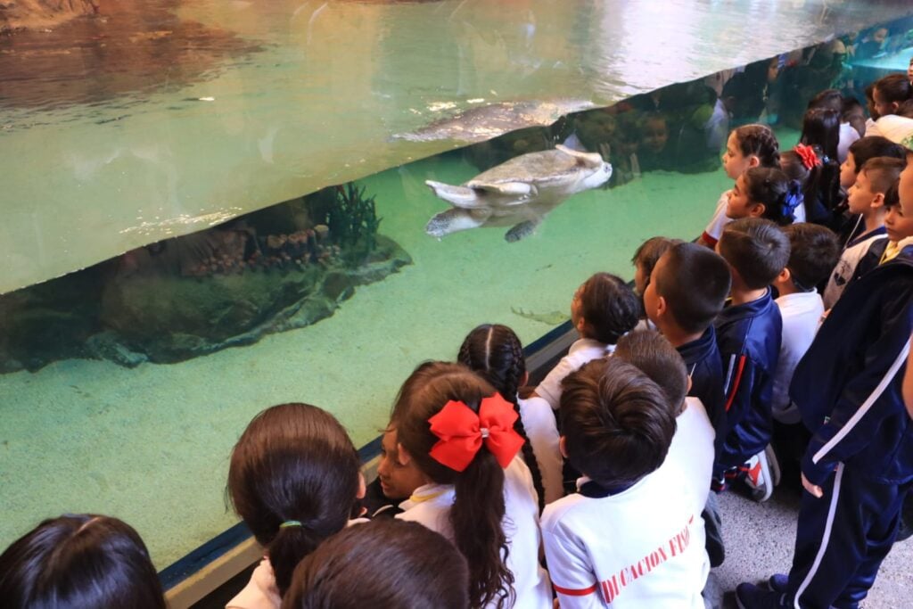 Alumnos de primaria visitan el Gran Acuario Mar de Cortés