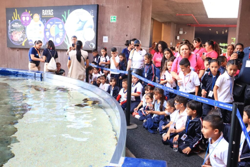 Alumnos de primaria visitan el Gran Acuario Mar de Cortés