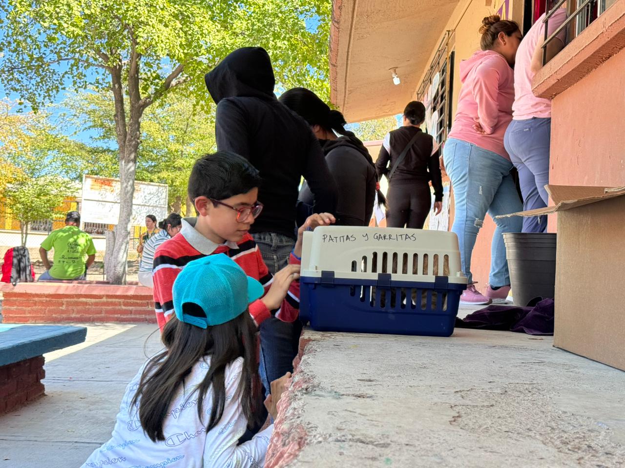 Niños conviviendo con mascotas