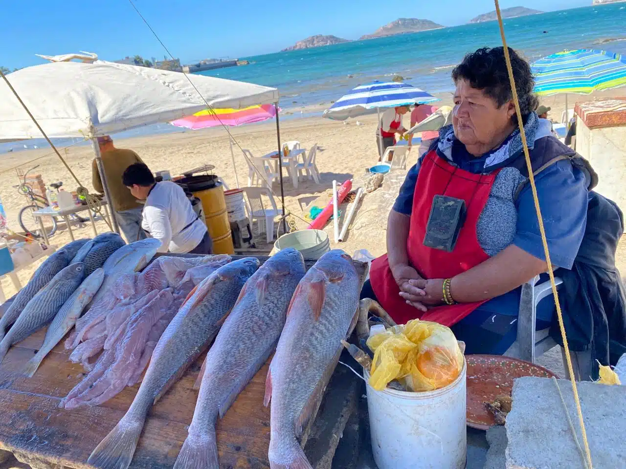 María del Rosario Flores Galindo