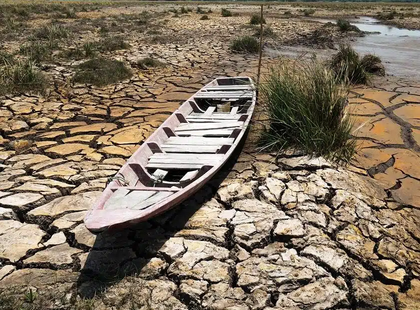 Panga en una zona con severa crisis de sequía