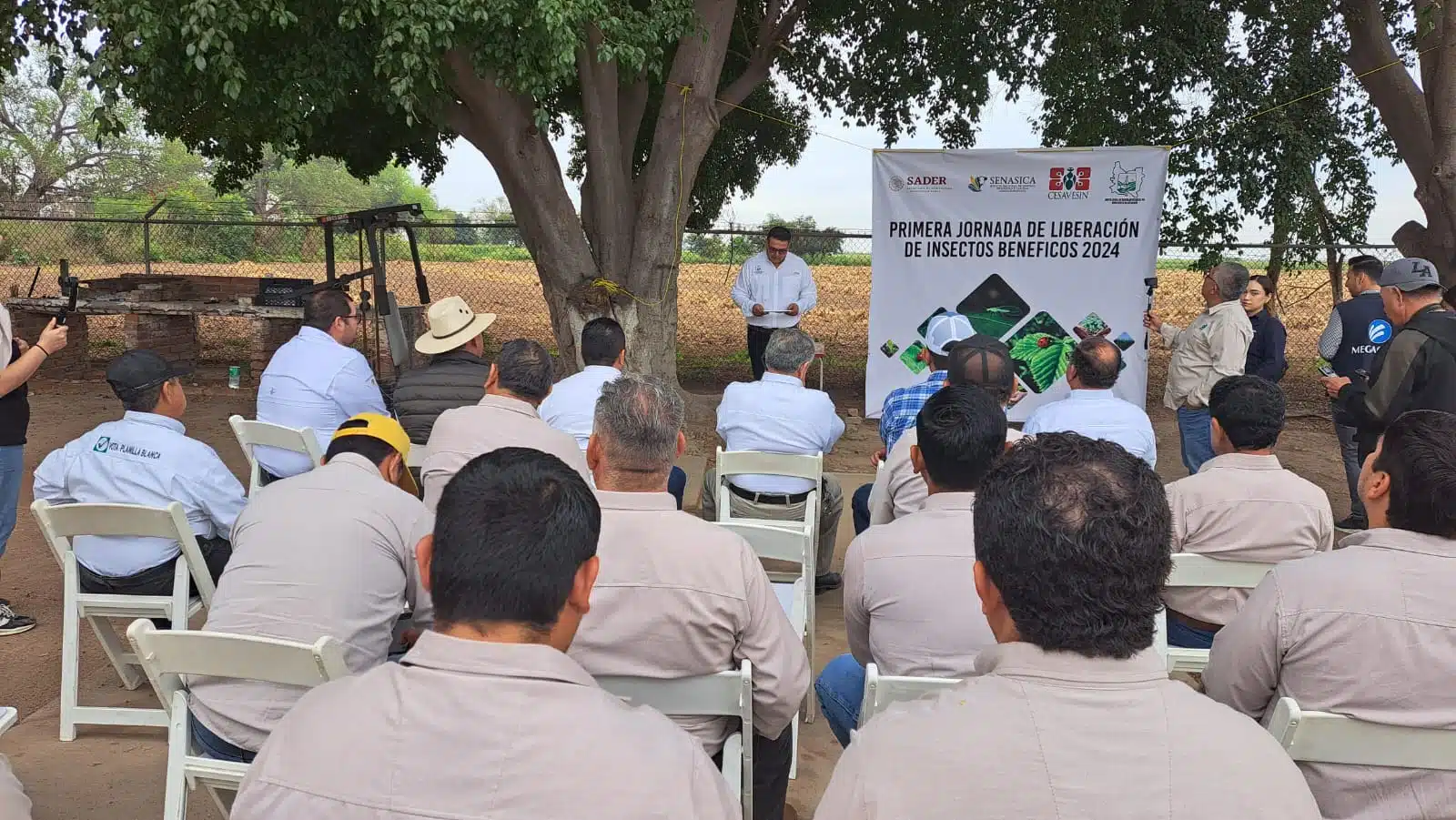 Junta Local de Sanidad Vegetal puso en marcha este miércoles la primera jornada de liberación de insectos benéficos